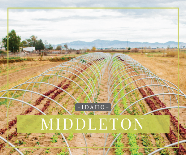 Middleton, Idaho